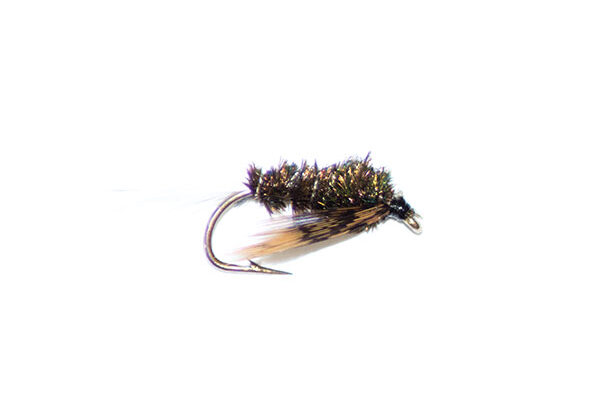 Ted's Stonefly