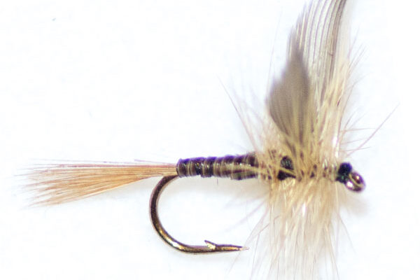Ginger Quill Winged