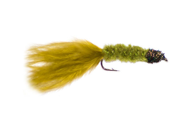 Olive Tadpole Lure