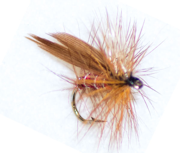Red sedge winged traditional dry fly from the guys at fish fishing flies