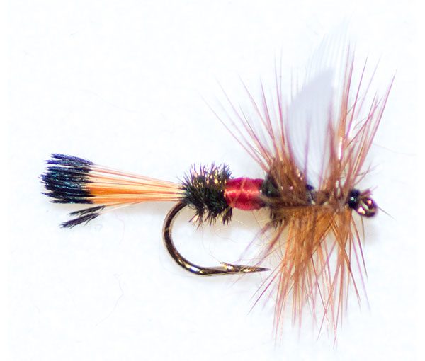 Royal coachman traditional dry fly from the guys at fish fishing flies