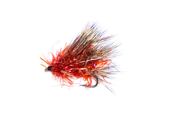 Straggle Fritz Sedge Hog Orange