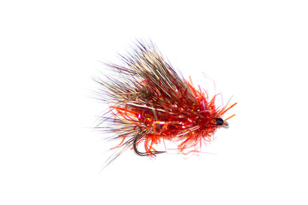 Straggle Fritz Sedge Hog Orange