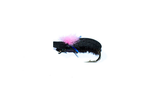 Target Foam Beetle Pink Blue Holographic