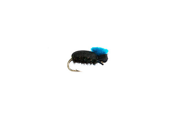 Target Foam Beetle Blue