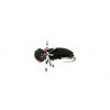 Target Hi Vis Foam beetle Black 2