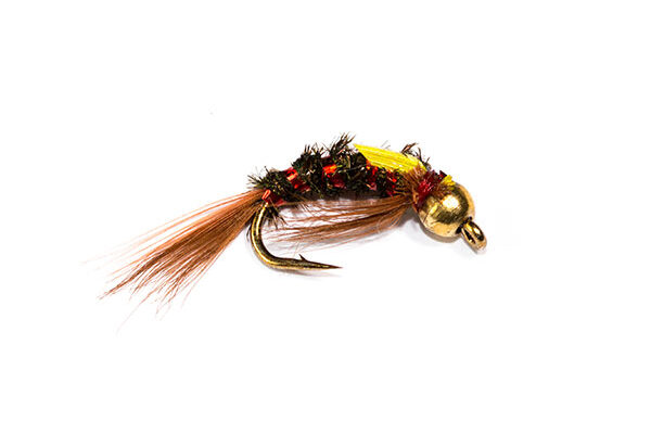 Red Holographic Diawl Bach Goldhead Yellow Cheeks