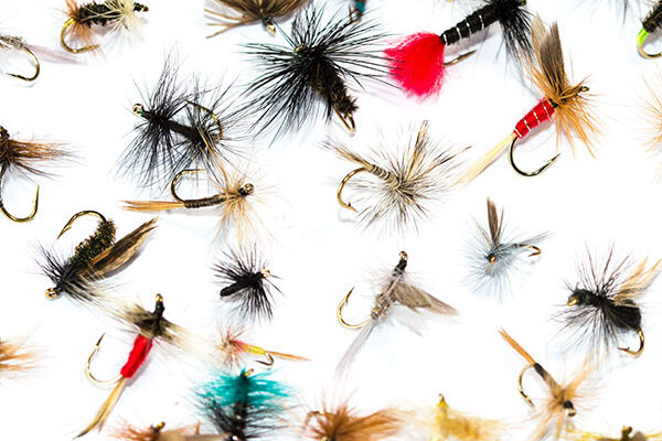 Dry Fly Mixed Fly Pack