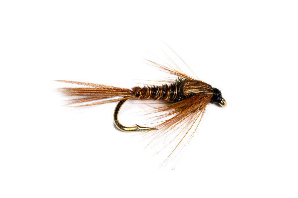 Pheasant Tail Nymph Weighted
