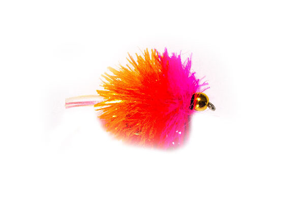 Bright Pink and Orange Goldhead Blob