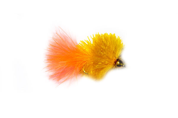 Light Orange Peach Tail Goldhead Blob