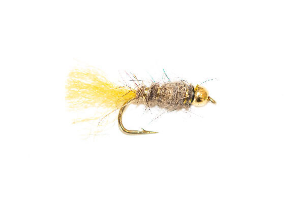 Gold Nugget Allen Fly Nymph